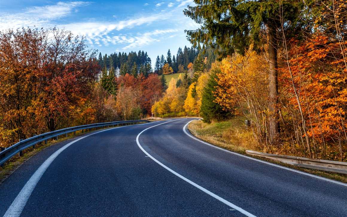 Straße im Herbstwald