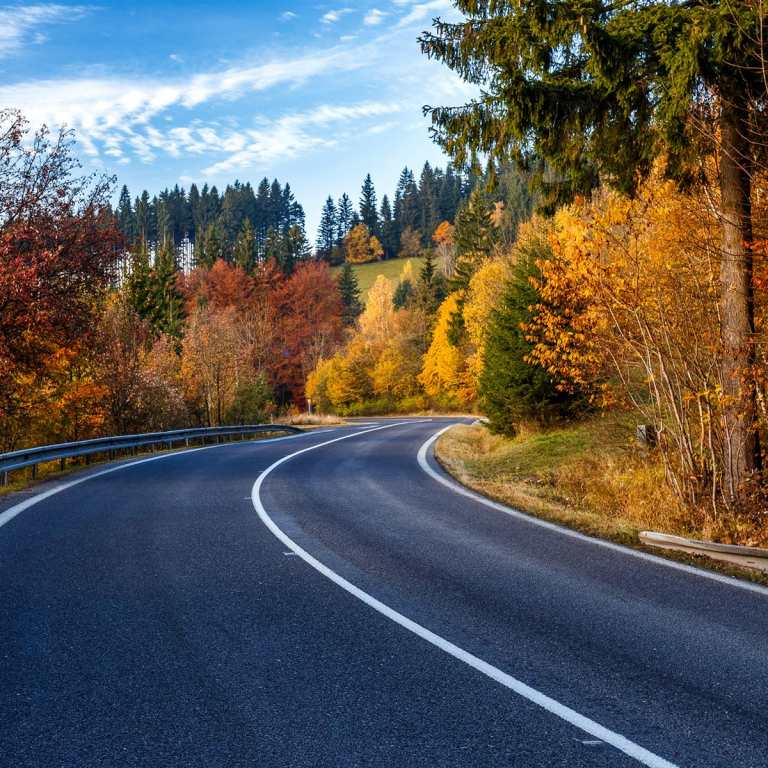 Straße im Herbstwald